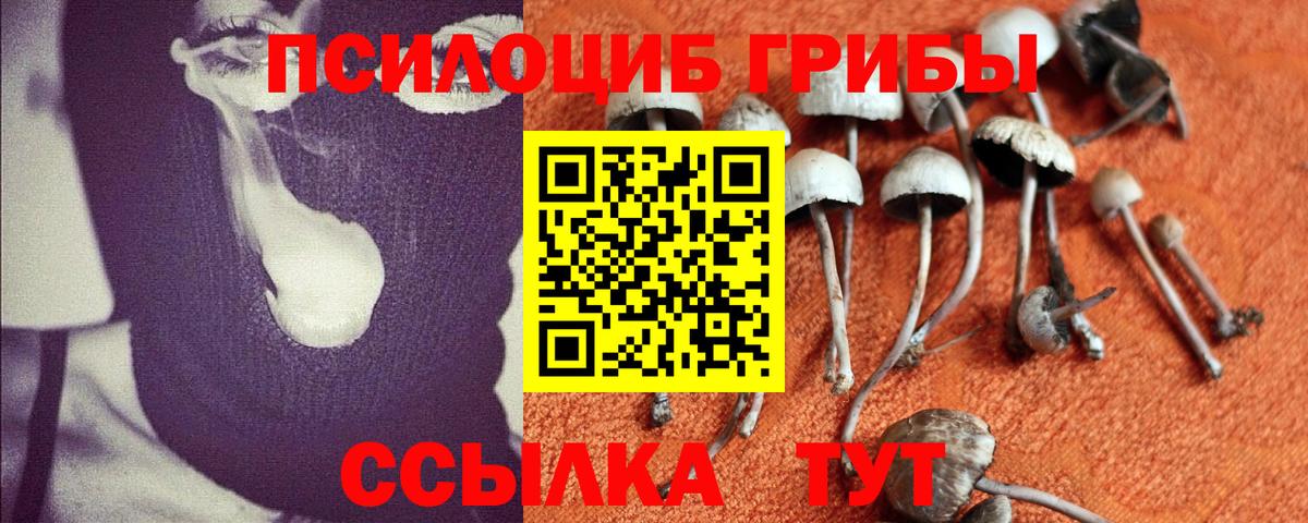 Галлюциногенные грибы мухоморы Артём