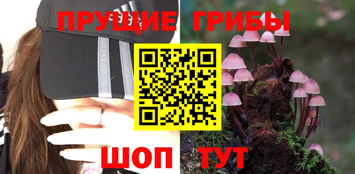 где можно купить   Псилоцибиновые грибы Psilocybine cubensis  Вход с VPN  Артём  Галлюциногенные грибы мухоморы 